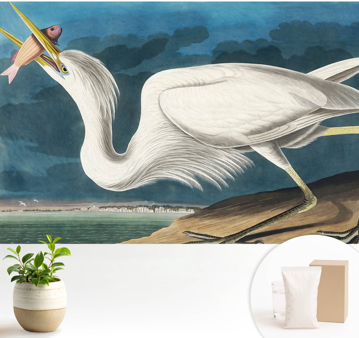 Wallfluent Fotobehang - Wit Vliesbehang - 104x70 cm - Vogel Met Vis Muurschildering - Slaapkamer behang Dieren - Fotobehang Vlies - Slaapkamer behang