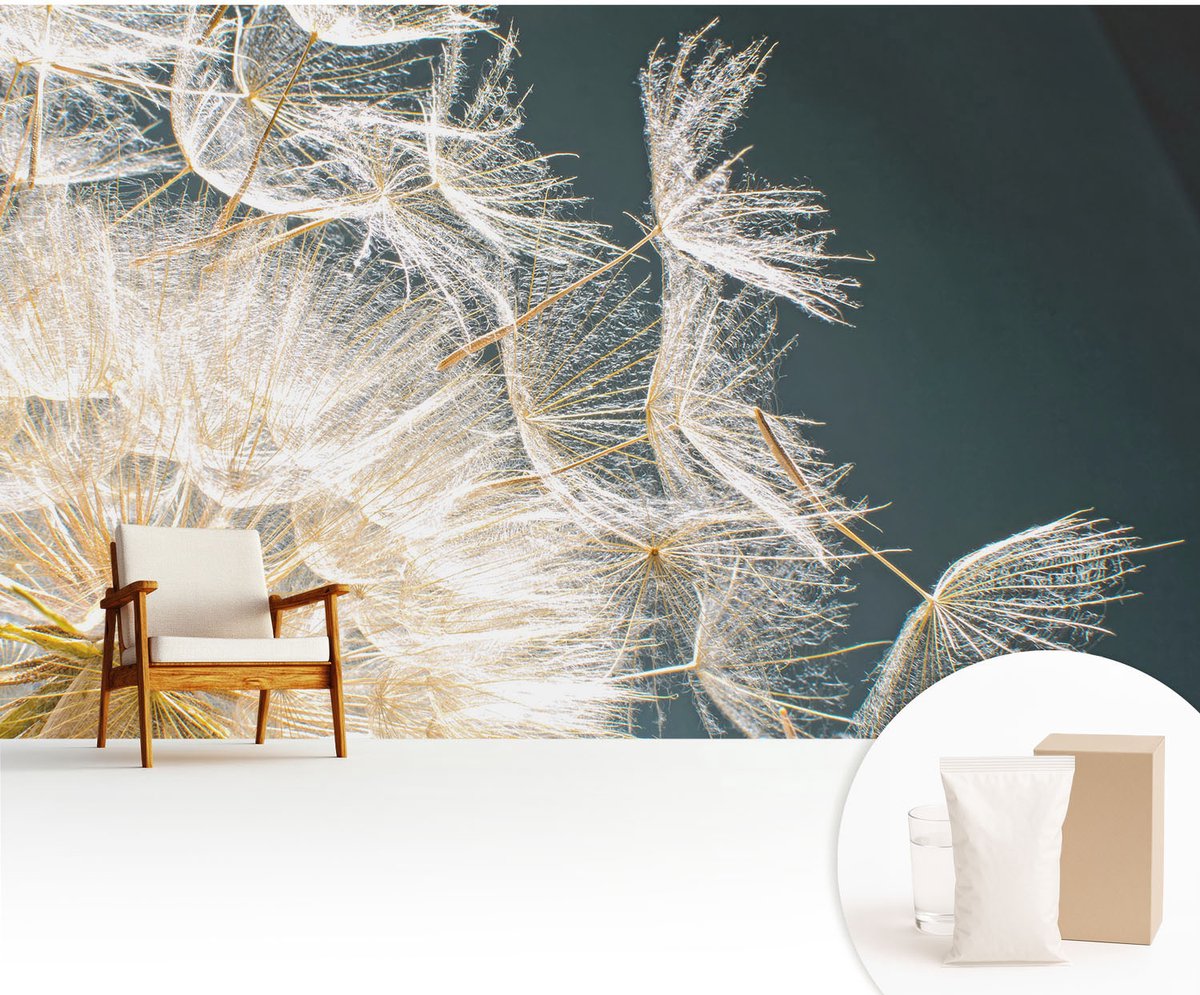 Wallfluent Fotobehang - Wit Vliesbehang - 416x254 cm - Paardenbloem Van Lichtheid Muurschildering - Gang behang Bloemen En Planten - Fotobehang Vlies - Slaapkamer behang