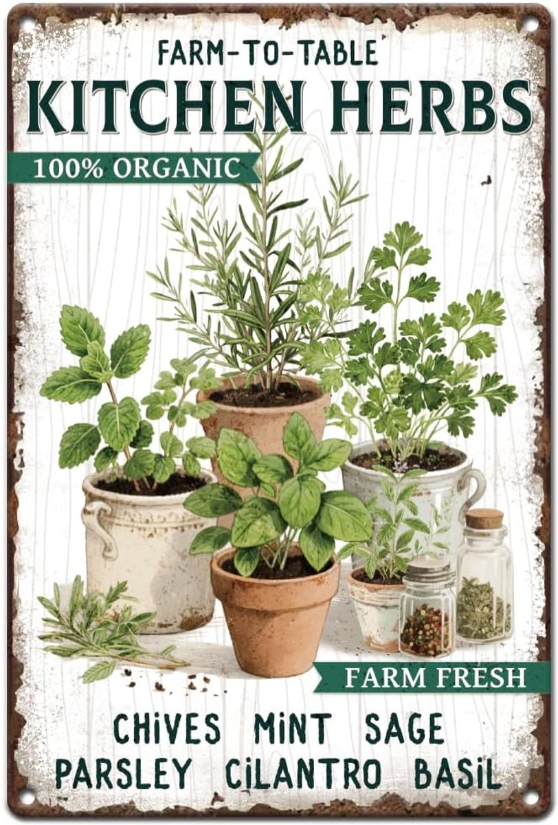 Vintage metalen tinnen borden 20 x 30 cm retro keuken kruiden bord boerderij tot tafel verse kruiden plant poster voor kamer tuin tuin thuis keuken winkel buiten muur decor