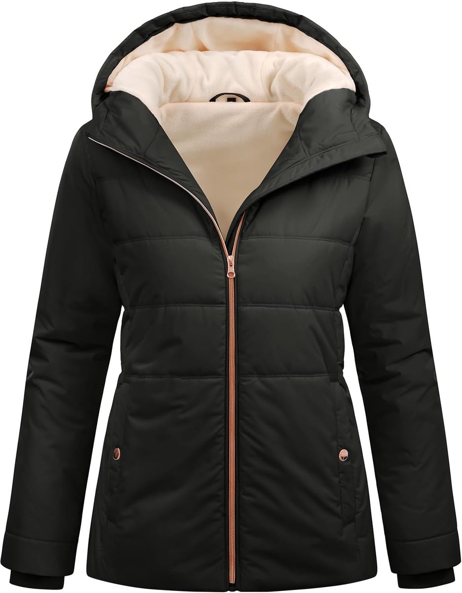 Donsjack voor dames, winter, korte jas, gewatteerd, warm, jassen met capuchon, ritssluiting, dikke parka, casual jas, anorak met zakken