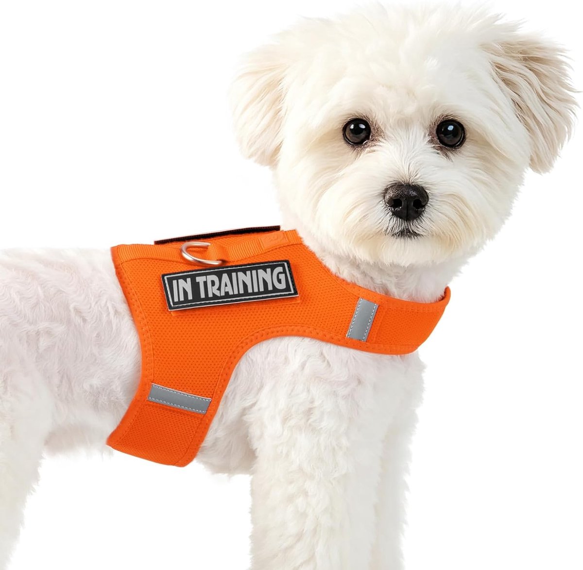 Hondentuig voor kleine puppy's, verstelbaar + 2 klittenbandstrips