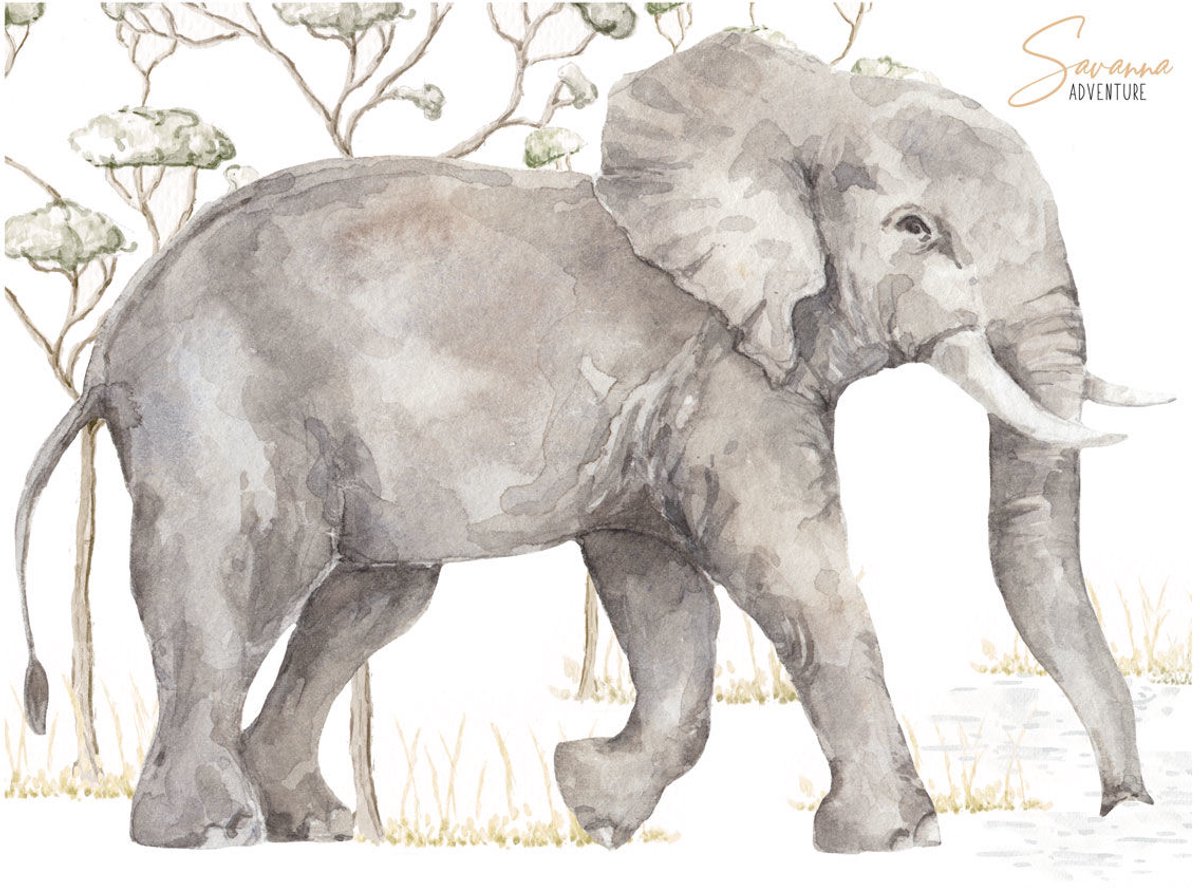 Dekornik Muursticker Olifant Savanne Kinderkamer 90x70 cm