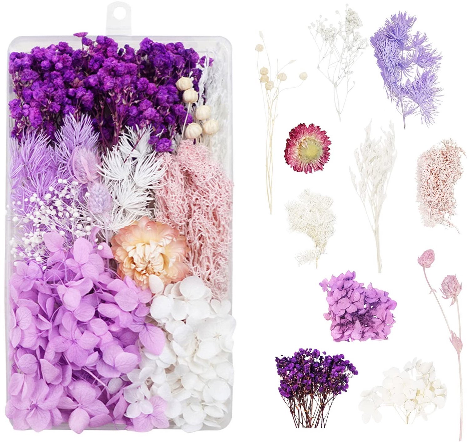 Famanu Gedroogde bloemen voor decoratie en knutselen, realistische en gekleurde bloemen