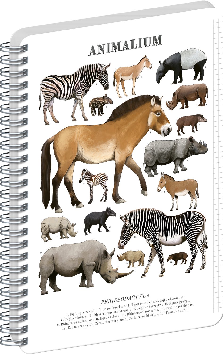 Animalium – Perissodactyls Spiraal Notitieboek A4 Ruitjes