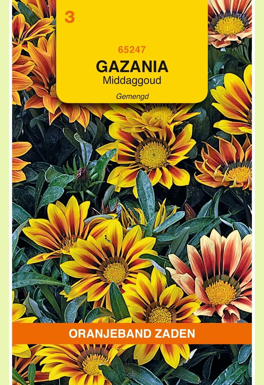 Gazania Midnight Gold Mixed - 10 stuks - kleurrijke bloeier - perfect voor borders - Vemera