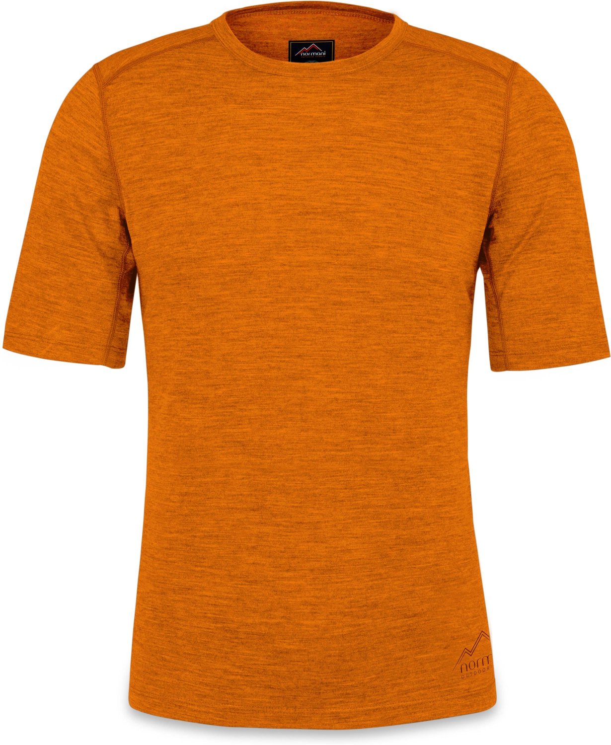 Merenowollen T-shirt voor heren „Darwin“