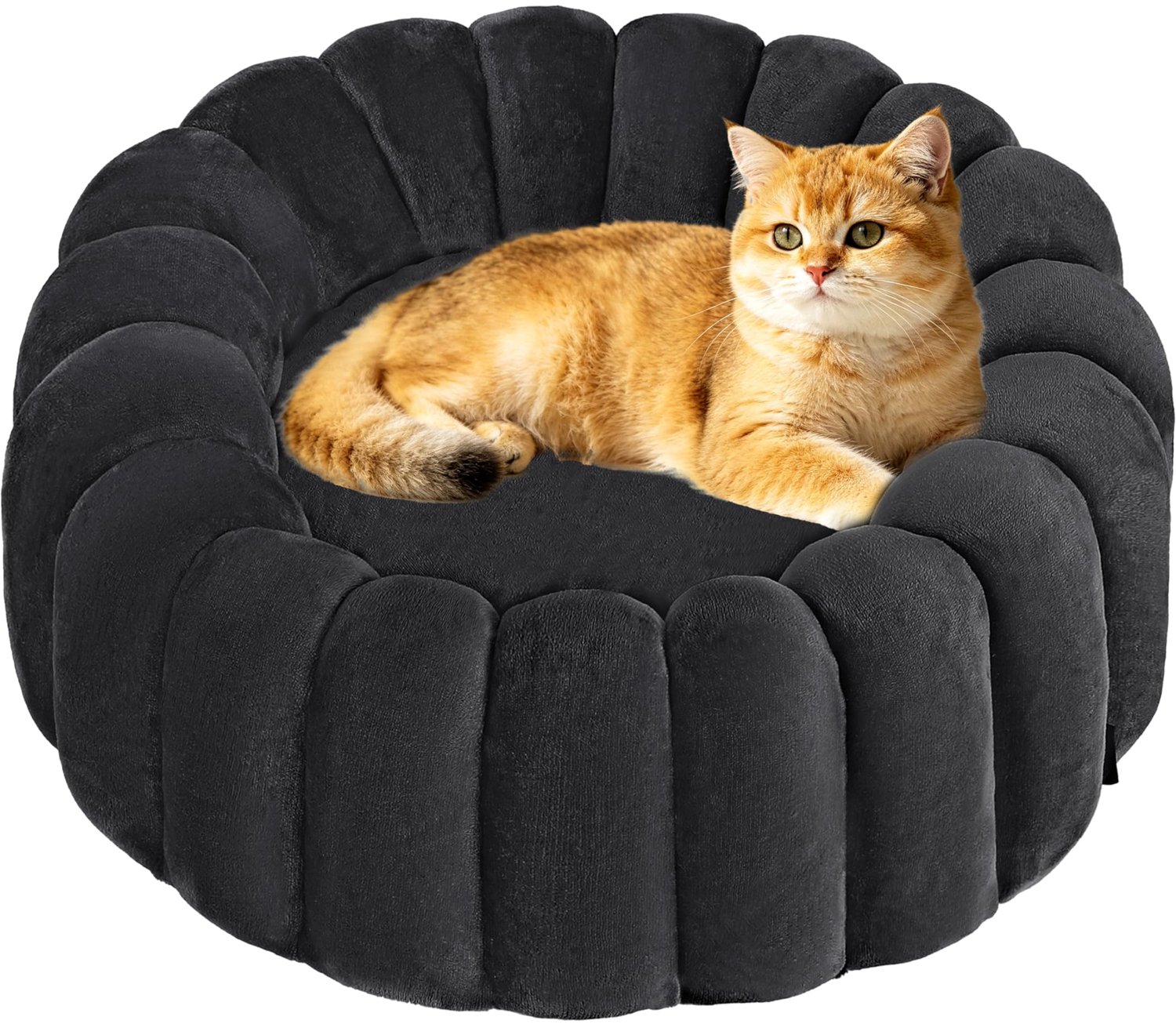 Hondenmand 50 cm - Zachte Hondenmand - Comfortabel Hondenbed - Donkergrijs - Voor Kleine Honden