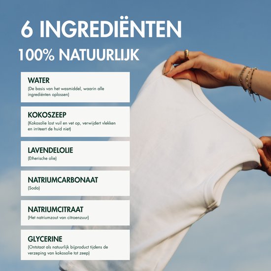 Lijst met 6 natuurlijke ingrediënten voor wasmiddel, inclusief kokoszeep en lavendelolie, tegen een blauwe lucht.