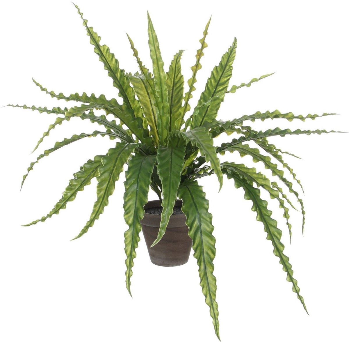 Mica Decorations Asplenium Kunstplant in Bloempot Stan - H54 x Ø66 cm - Groen