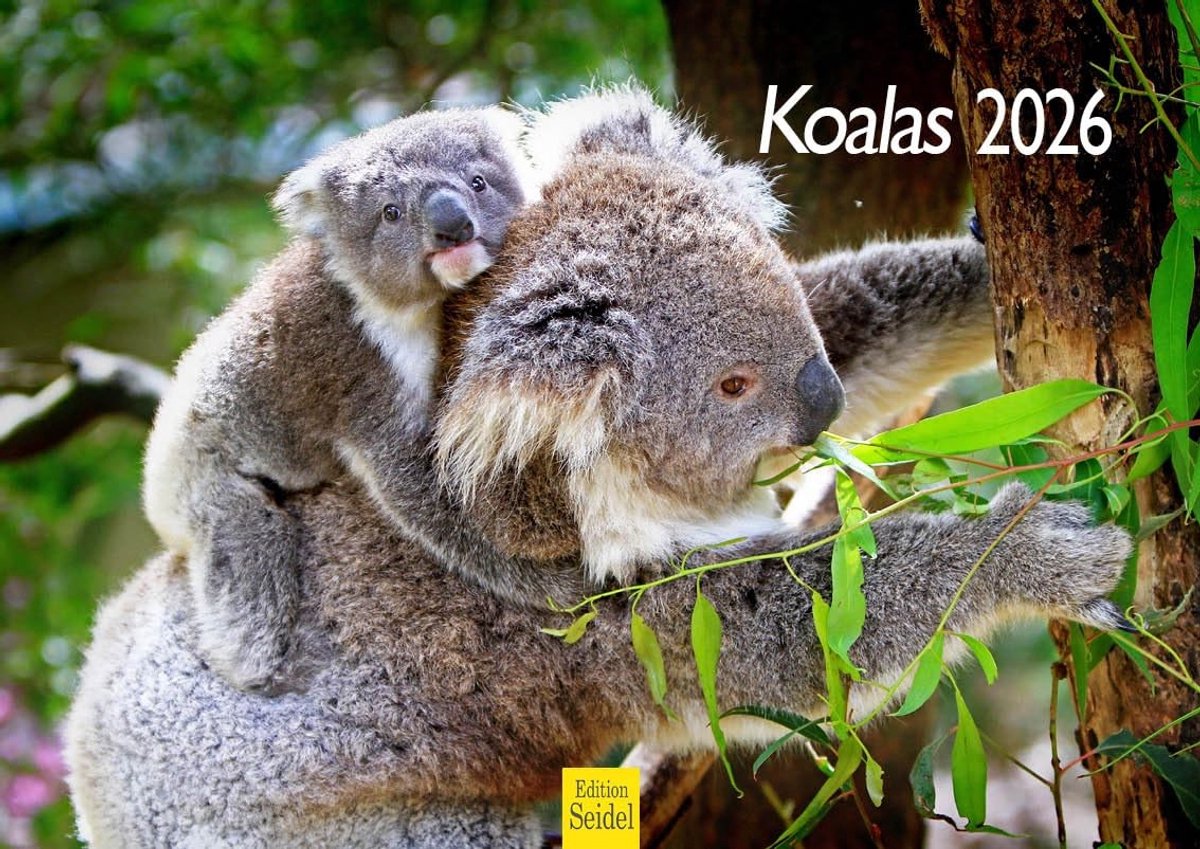 Elzusha - Koala Kalender 2026 - Wandkalender A4 met Eucalyptus Forest Thema