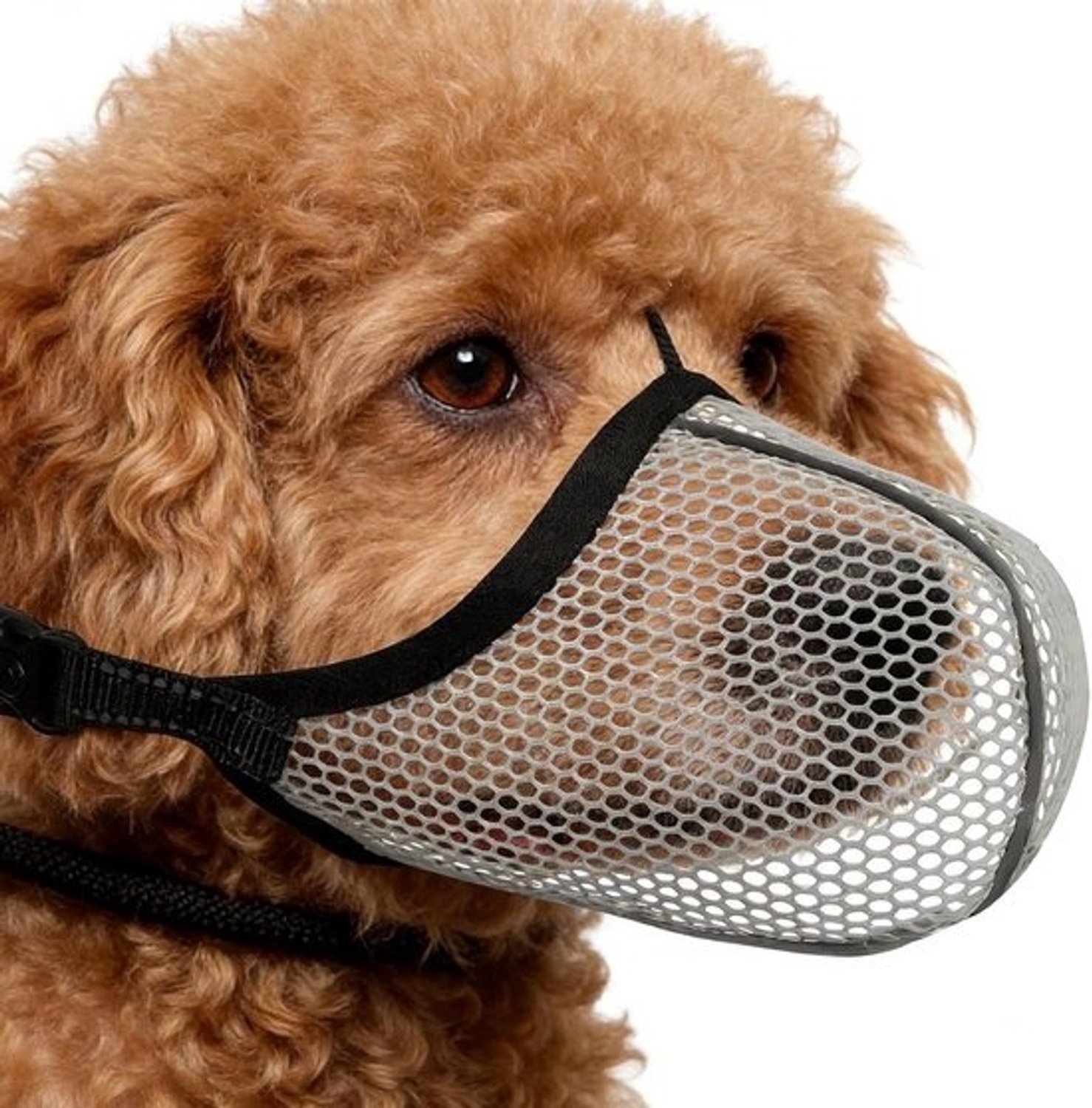 Honden muilkorf - Anti-blaf mondkap - Veilig uitlaten - Reflecterende randen - Maat L - Grijs