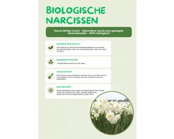 Narcis Bridal Crown - 100% biologische bloembollen - 20 bloembollen - bijzondere narcis met gelaagde bloemblaadjes