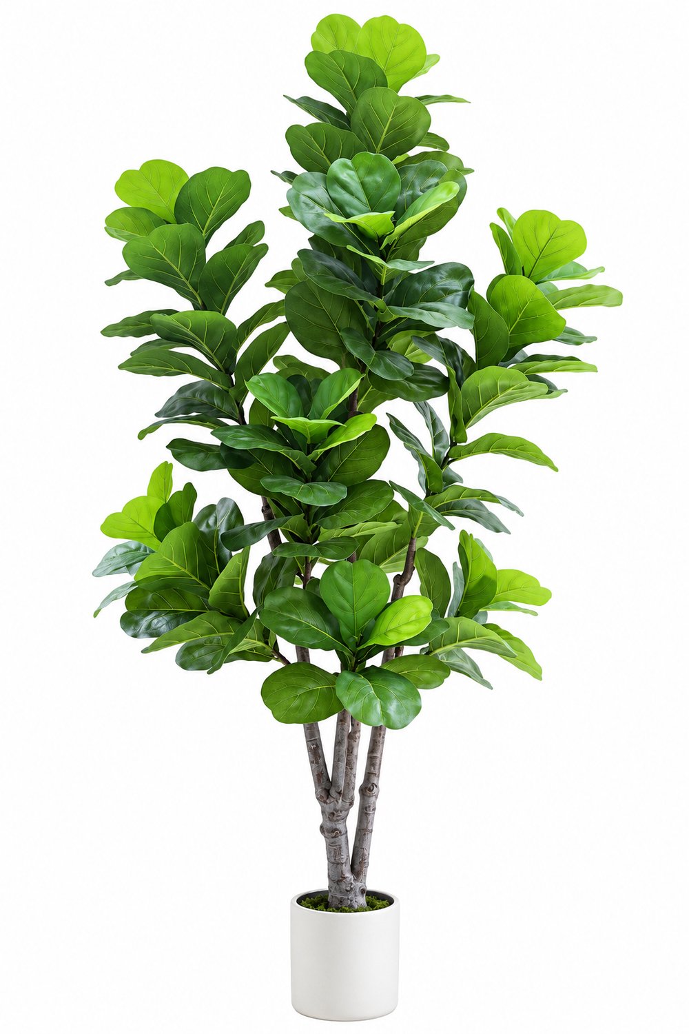 Molhaus Kunstficus - Ficus Lyrata - 180 cm - in Pot - Onderhoudsvrij