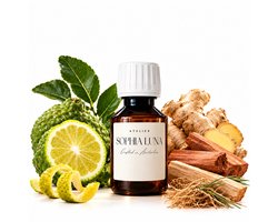 Geurolie voor Aroma Diffuser 100 ml Sandalwood Citrus – Geurverspreider Navulling – Inspired by