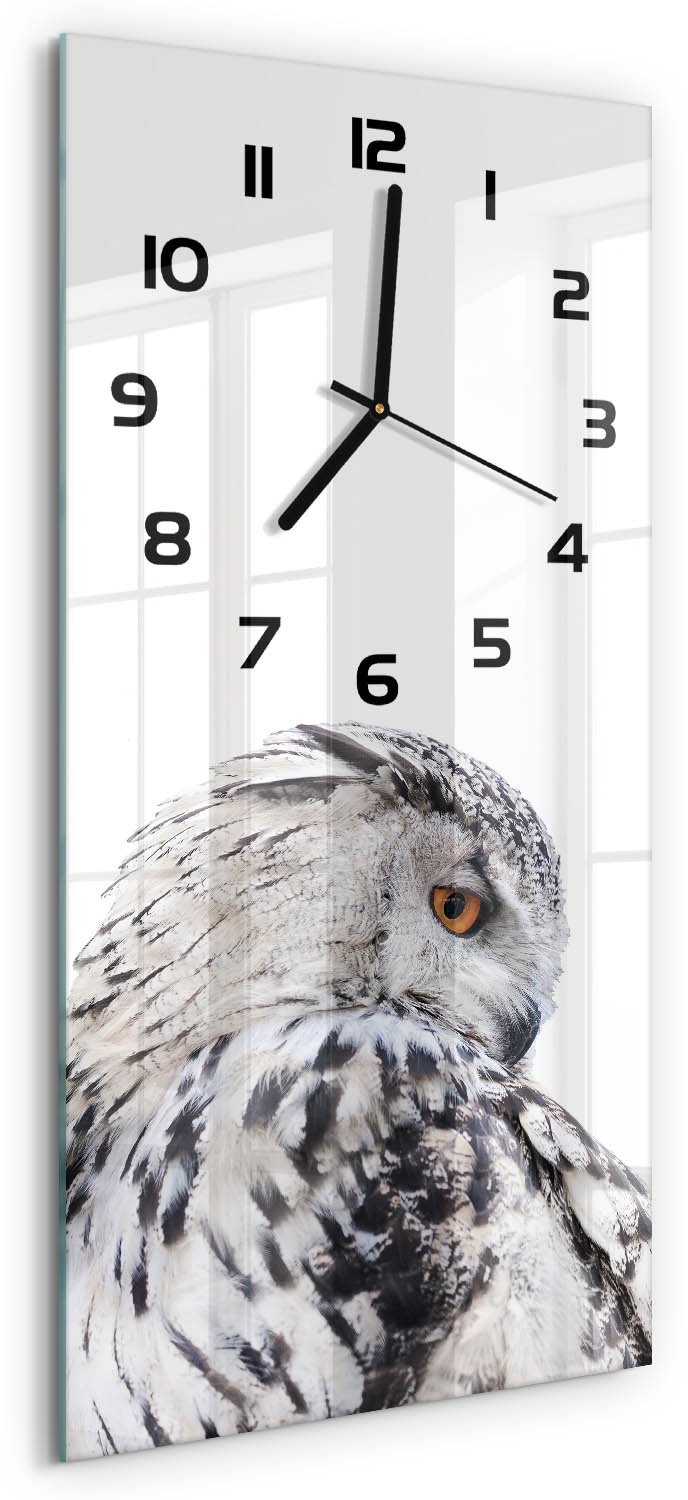 Tulup Wandklok - Witte Uil Gekleurde Glazen Klok - 30x60 cm - Wit Glazen Klok Met Print - Zwarte handen - Rechthoekige Klok - Moderne Wandklok Glas - Wandklok Glas Decoratie