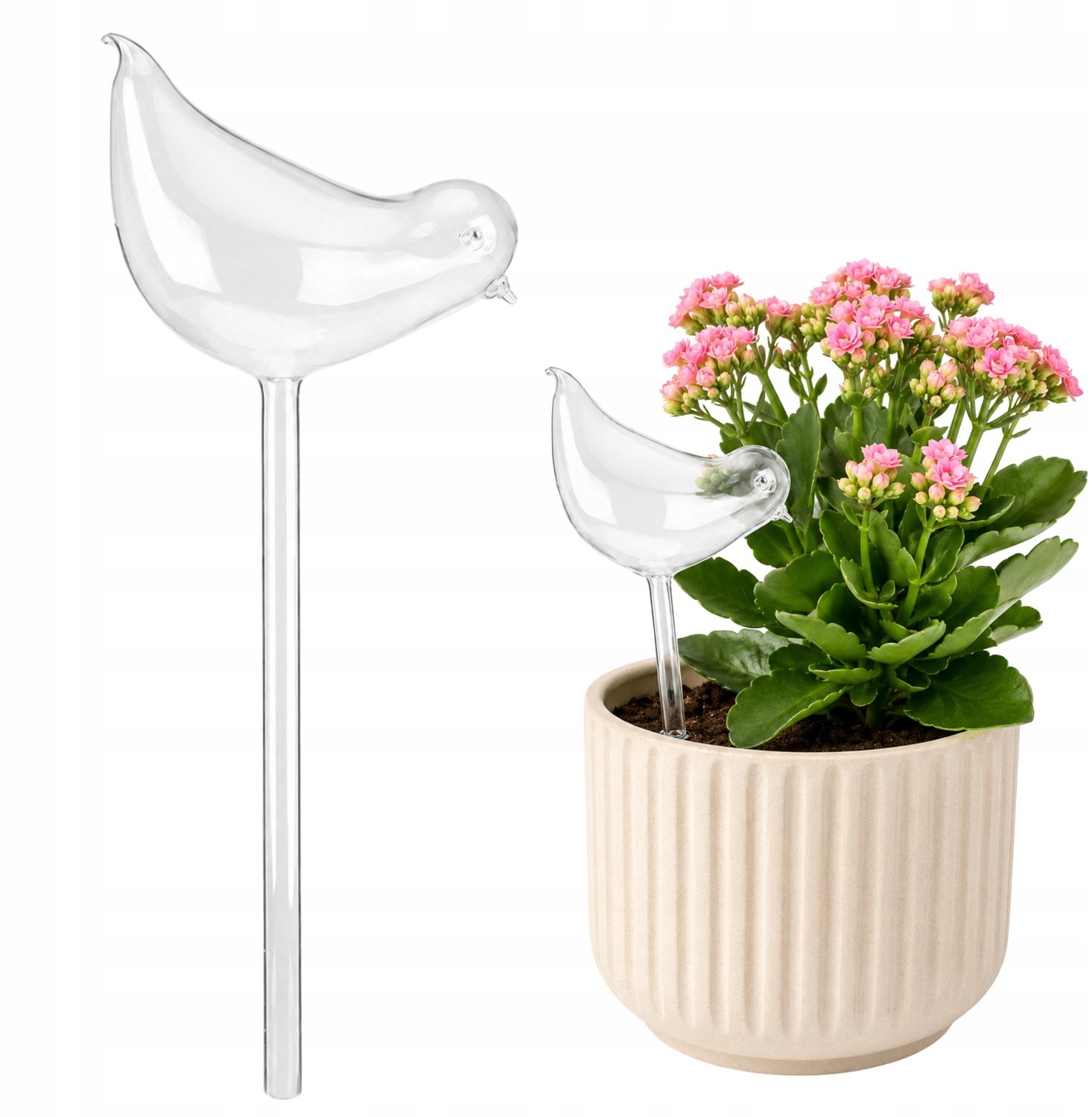 Decoratieve Plantenwatergever Vogel 120ml XL - Zelfwaterend