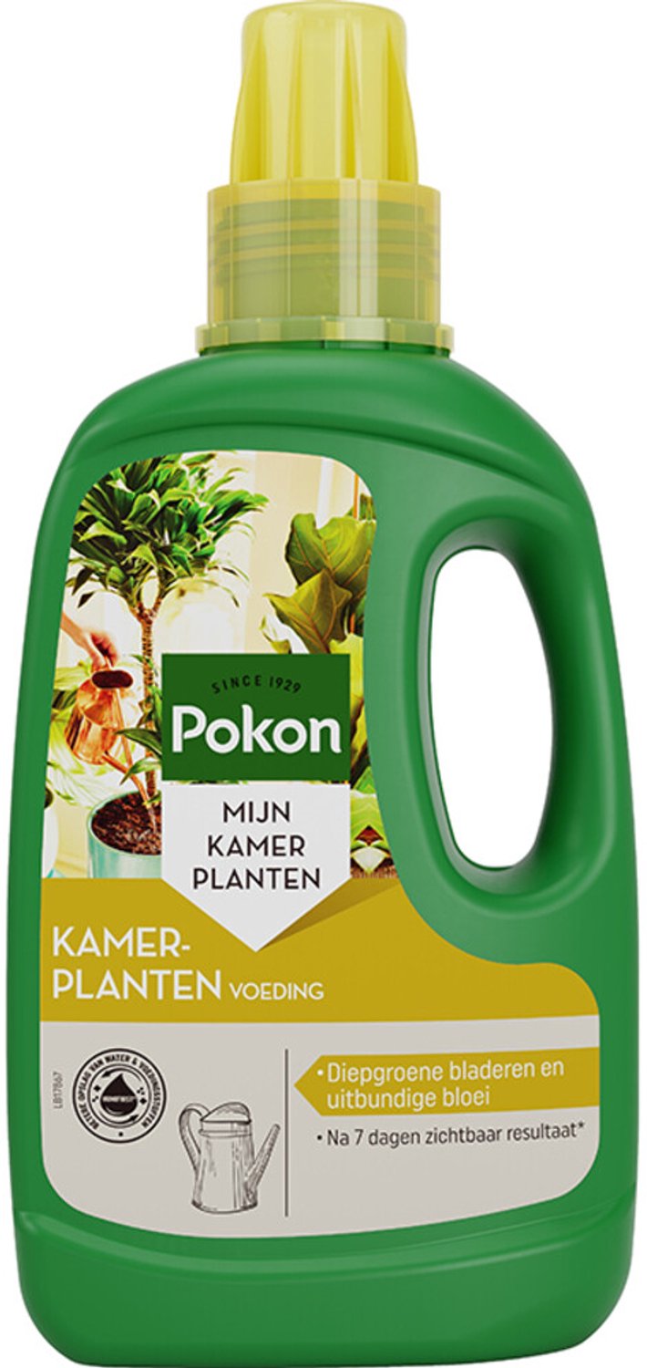 Pokon - Plantenvoeding Kamerplanten - 2 x 500 ml - Voordeelverpakking