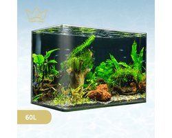 AquaKonings – Aquarium – Aquarium met afgeronde hoeken - Open Aquarium - Aquariumkit 60x30x36 64L