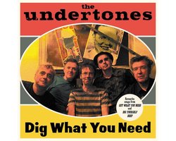 LP - dig what you need - undertones - punk