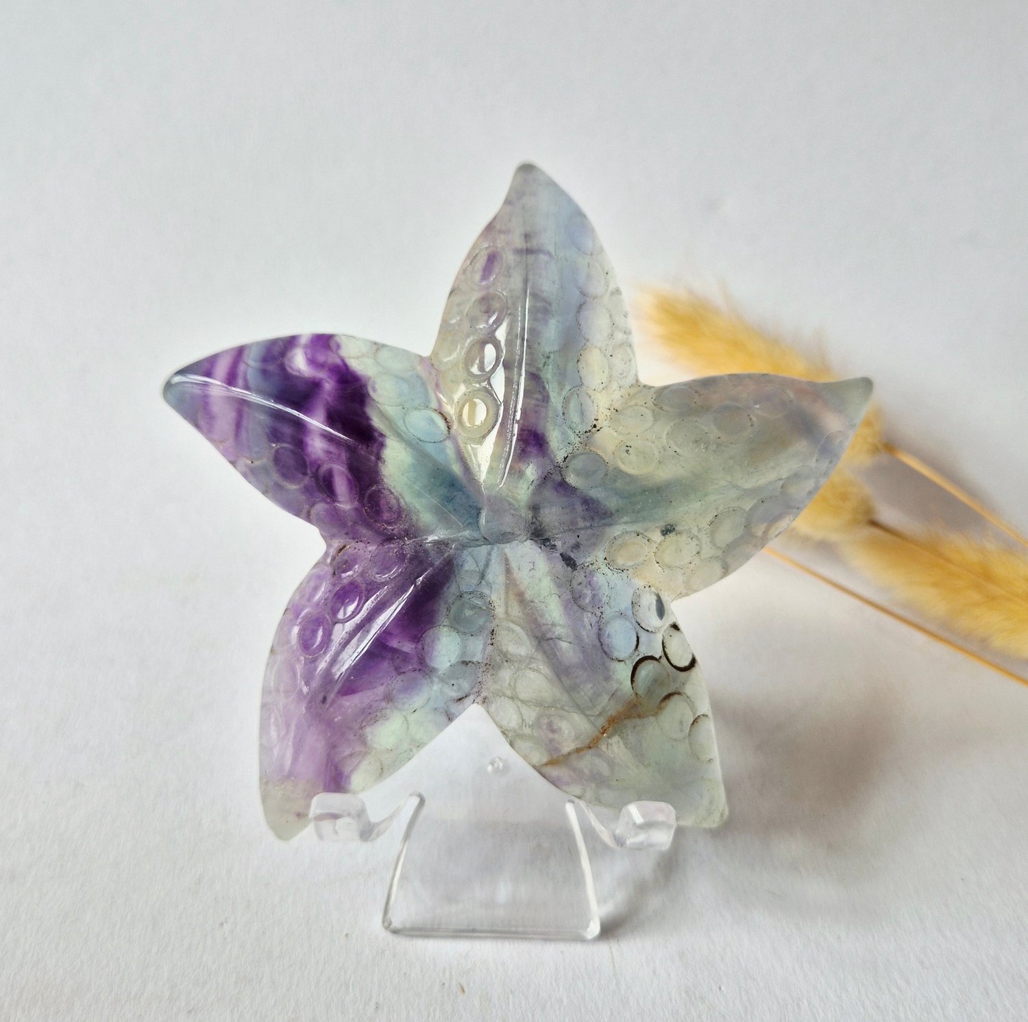 Moonlight Gemstones Regenboog Fluoriet Zeester Carving – ca. 10 cm #2 Meerkleurig