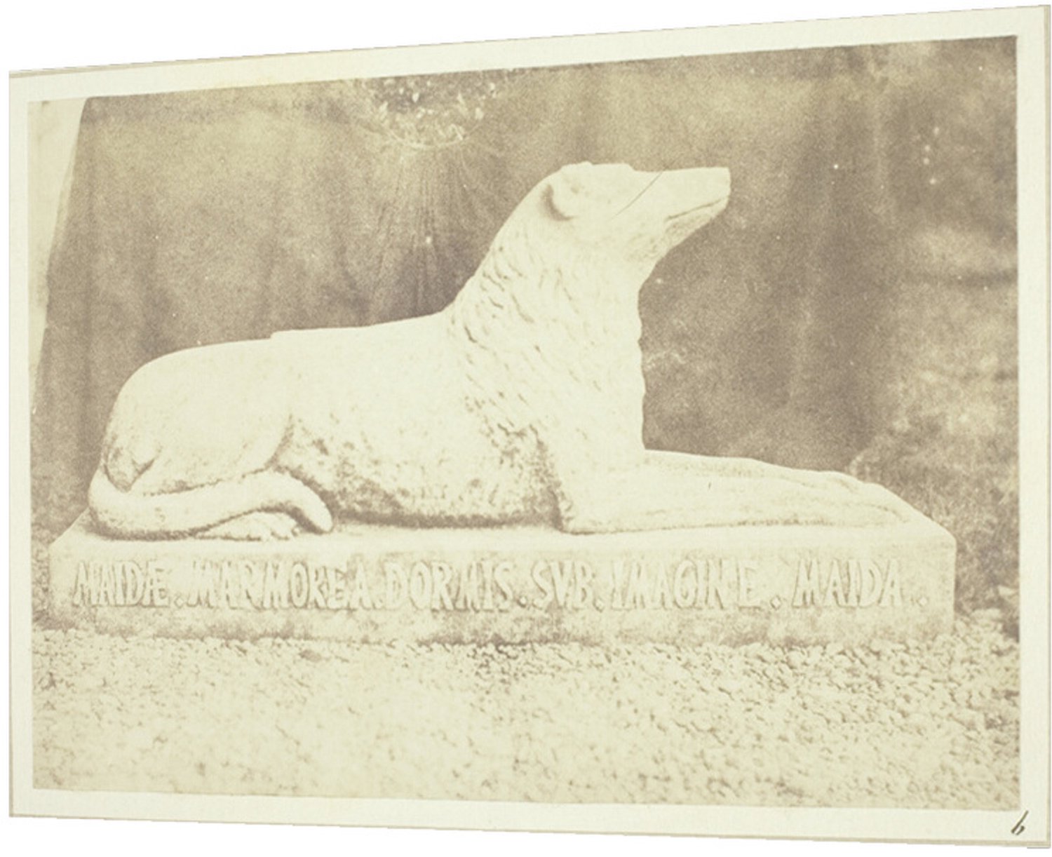 Printen.eu Poster - Effigy of Sir W. Scott's favourite dog Maida, by the side of the hall door at Abbotsford - 42 x 29.7 cm Multicolor