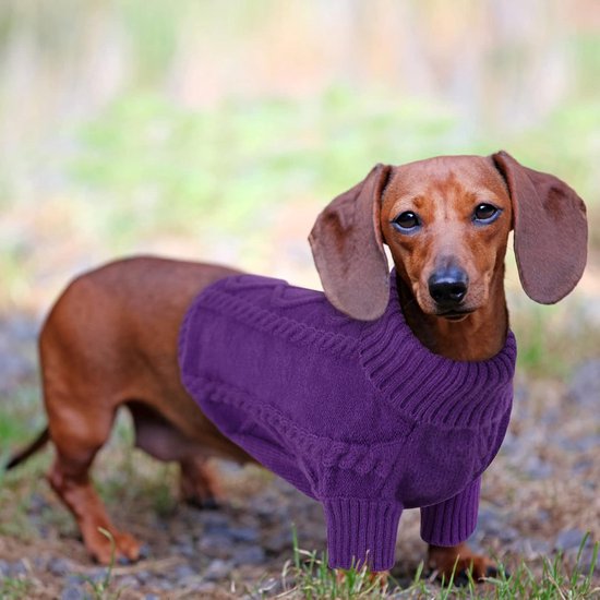 Dachshund Trui Middelgroot Gebreid Hondentruitje Ronde Hals Gebreide Trui Kattentruitje Hondenkleding Outfit Voor Teckel Chihuahua Worsthond Bulldog Yorkie, Paars, M — afbeelding 5