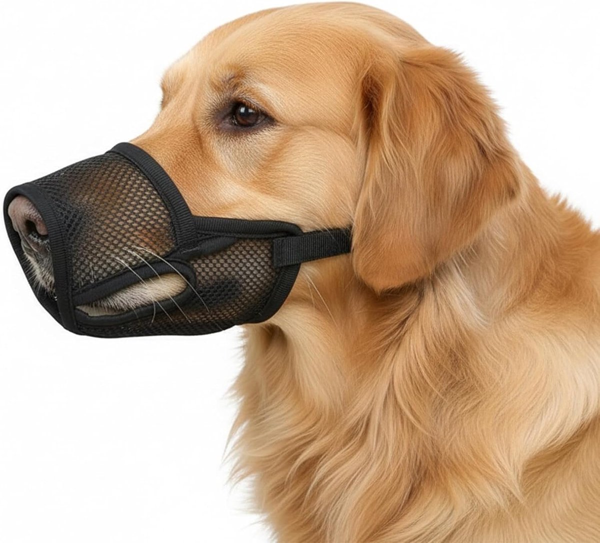 Muilkorf voor honden, ademende mesh-muilkorf voor kleine en middelgrote honden, verstelbare lus, maakt het drinken mogelijk en voorkomt blaffen, bijten en kauwen.