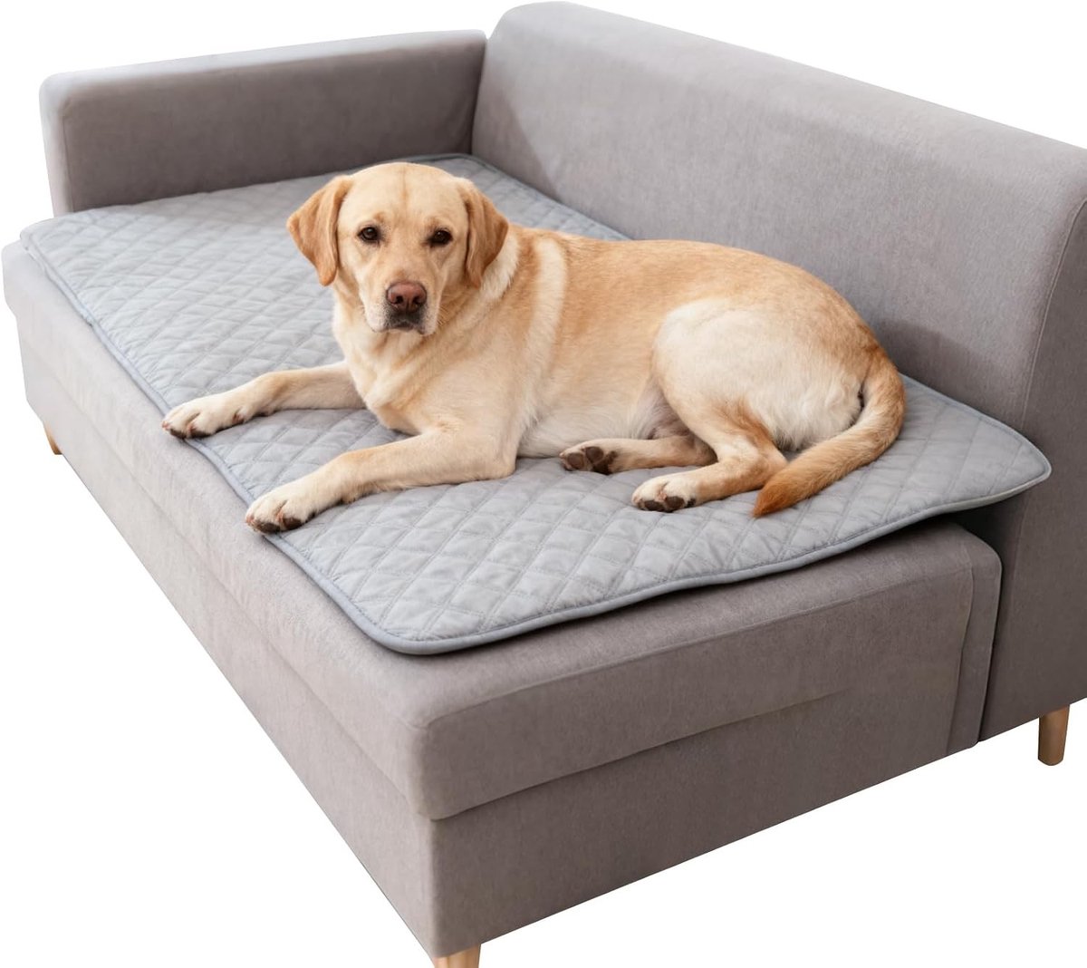 Waterdichte Hondendeken 100 x 150 cm, Antislip Hondmat, Wasbaar en Bescherming voor Sofa, Bed en Auto, Ideaal voor Dagelijks Gebruik en Reizen