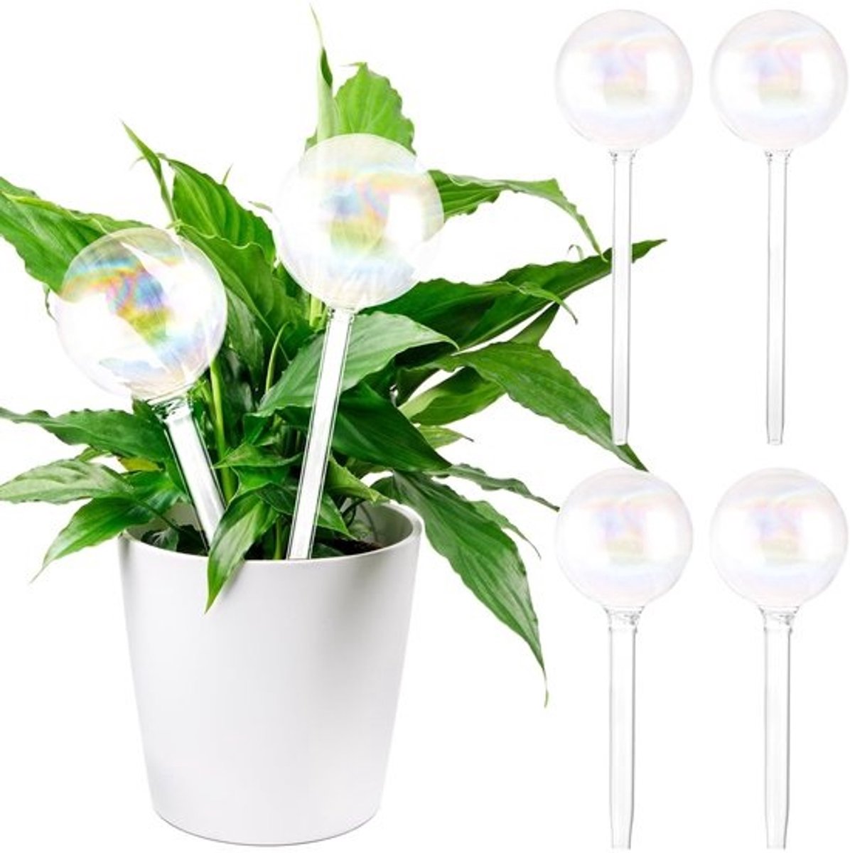 MTTProducts - Irrigation Balls - Watergeefballen - Automatische plantbewatering - Transparant - Glazen waterdispensers - Voor binnen en buiten -...