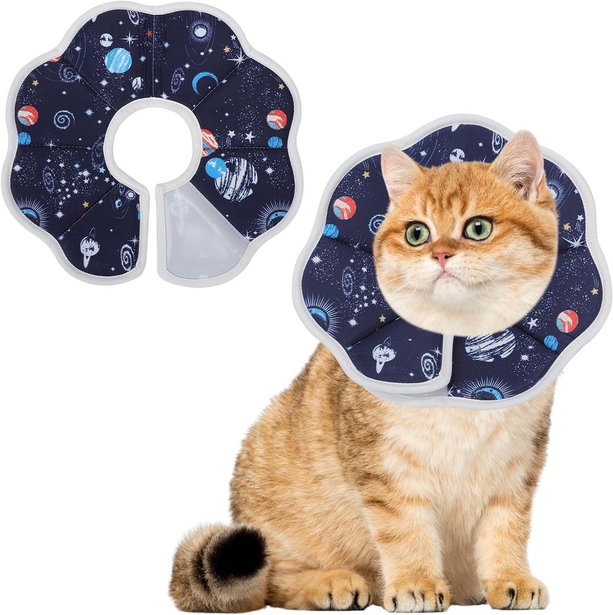 Katten Halskraag - Beschermende Kraag - Wond Bescherming - Zacht Waterdicht Materiaal - 3 Maten Instelbaar - Blauw