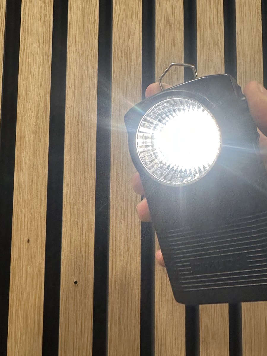 Zaklamp/ Pocket Light - PHILIPS