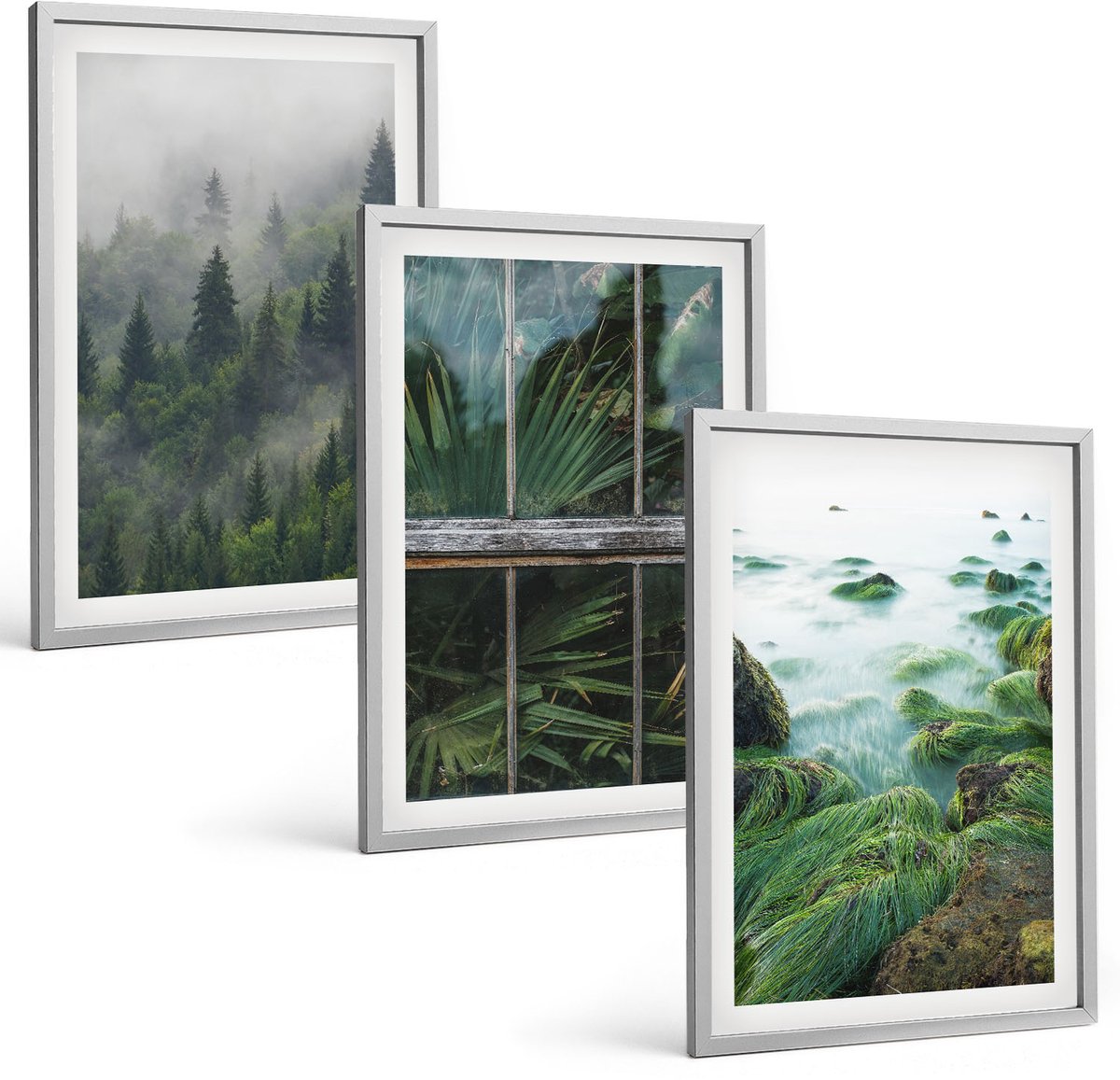 Coloray 3-Delige Schilderij Set - Bos In De Mist, Rivieroever En Kas Met Planten - 40 x 60 cm - Stijlvolle Muurdecoratie - Slaapkamer - Wanddecoratie