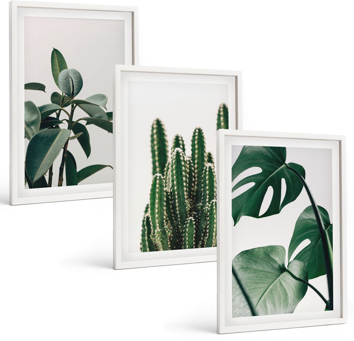 Coloray 3-Delige Schilderij Set - Tropische Kamerplanten Met Esthetische Bladeren - 40 x 60 - Muurdecoratie - Decoratieve Schilderijen - Wohnzimmer - Moderne Wanddecoratie