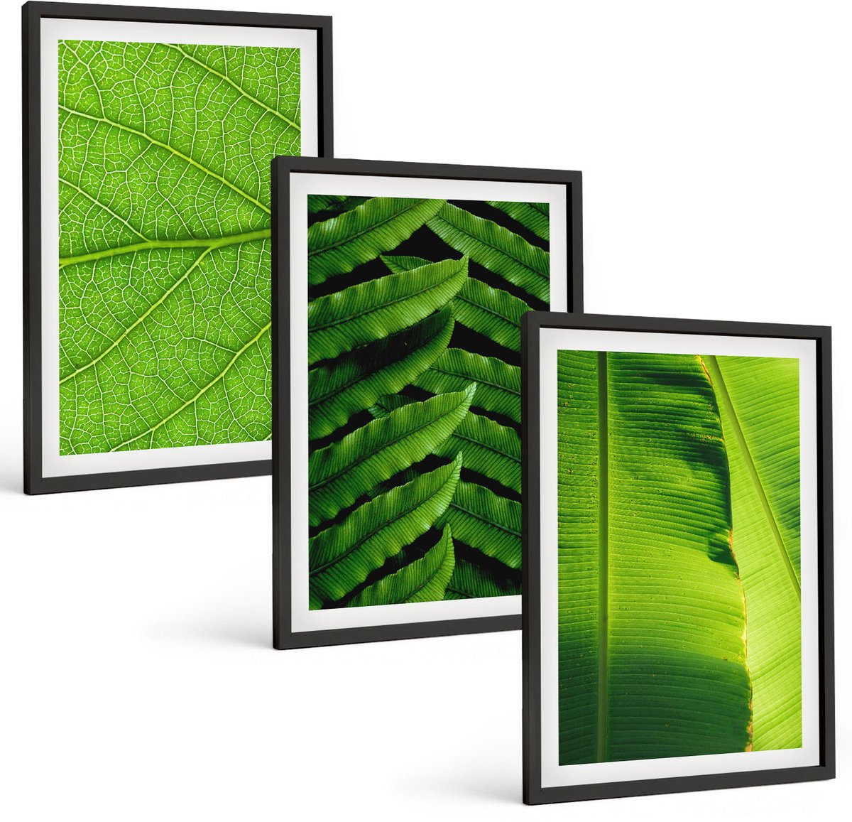Coloray 3-Delige Schilderij Set - Close-Ups Van Tropische Bladeren - 40 x 60 cm - Schilderijen Set - Wanddecoratie - Woonkamer - Woonkamer Decoratie