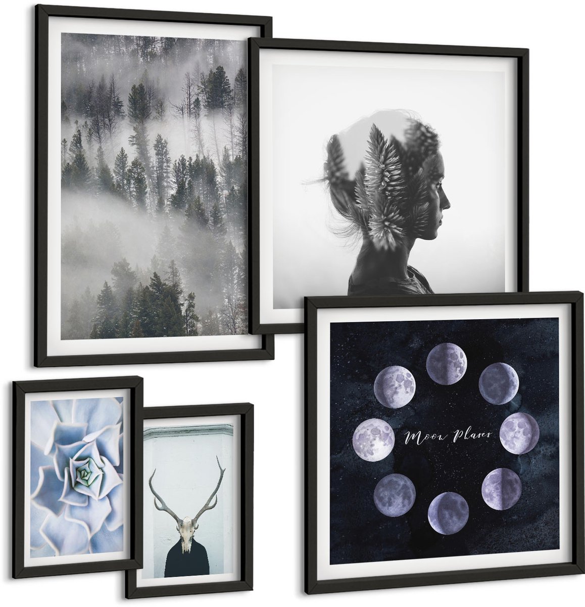 Coloray 5-Delige Schilderij Set - Natuurlijke Bosmotieven En Kosmische Verschijnselen - 50 x 50 cm, 20 x 30 cm En 40 x 60 cm - Wanddecoratie - Moderne Interieurdecoratie Zwarte lijst