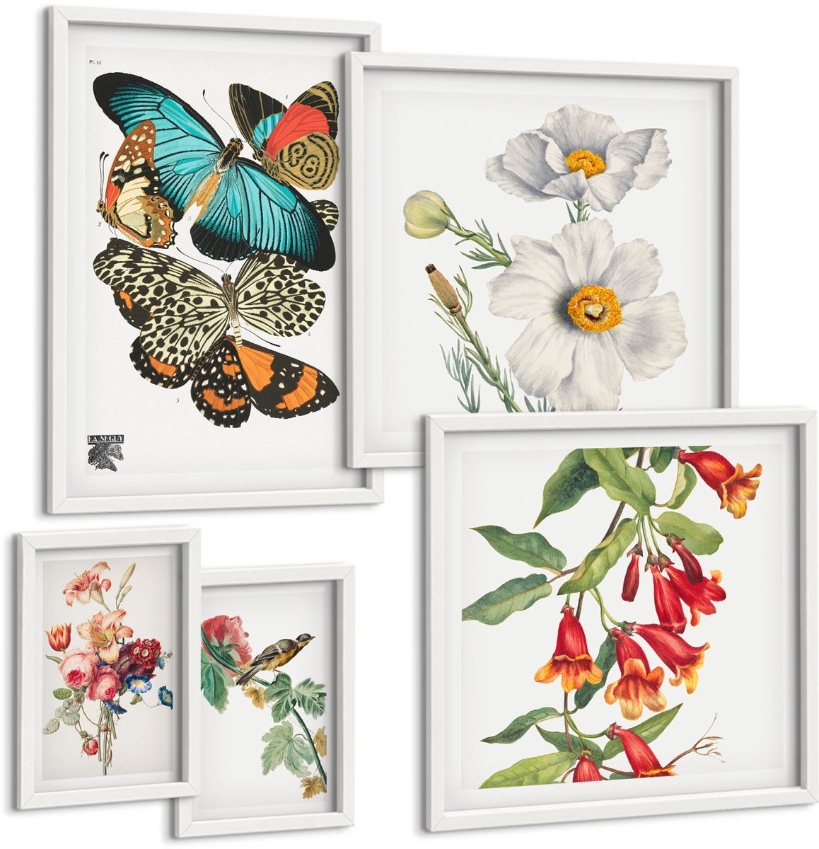 Coloray 5-Delige Schilderij Set - Vintage Wanddecoratie Met Bloemen, Vlinders En Vogels. - 50 x 50 cm, 20 x 30 cm En 40 x 60 cm - Stijlvolle Muurdecoratie - Kantoor