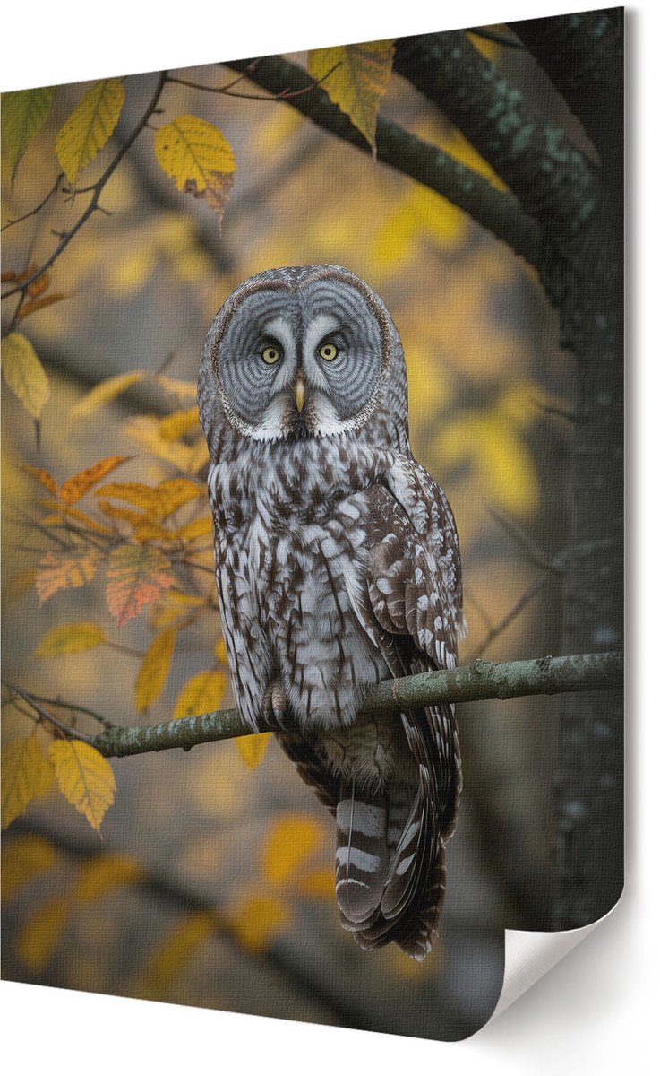 Coloray Polycanvas Wandposter - Berghut, Fotografie - A2 - Bruin Patroon - Rechthoek - Interieurdecoratie - Woonkamer, Slaapkamer, Kantoor - Klassiek