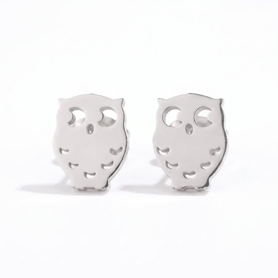 Zilverkleurige oorknopjes in de vorm van uiltjes met oogjes en vleugeldetails, op een witte achtergrond.
