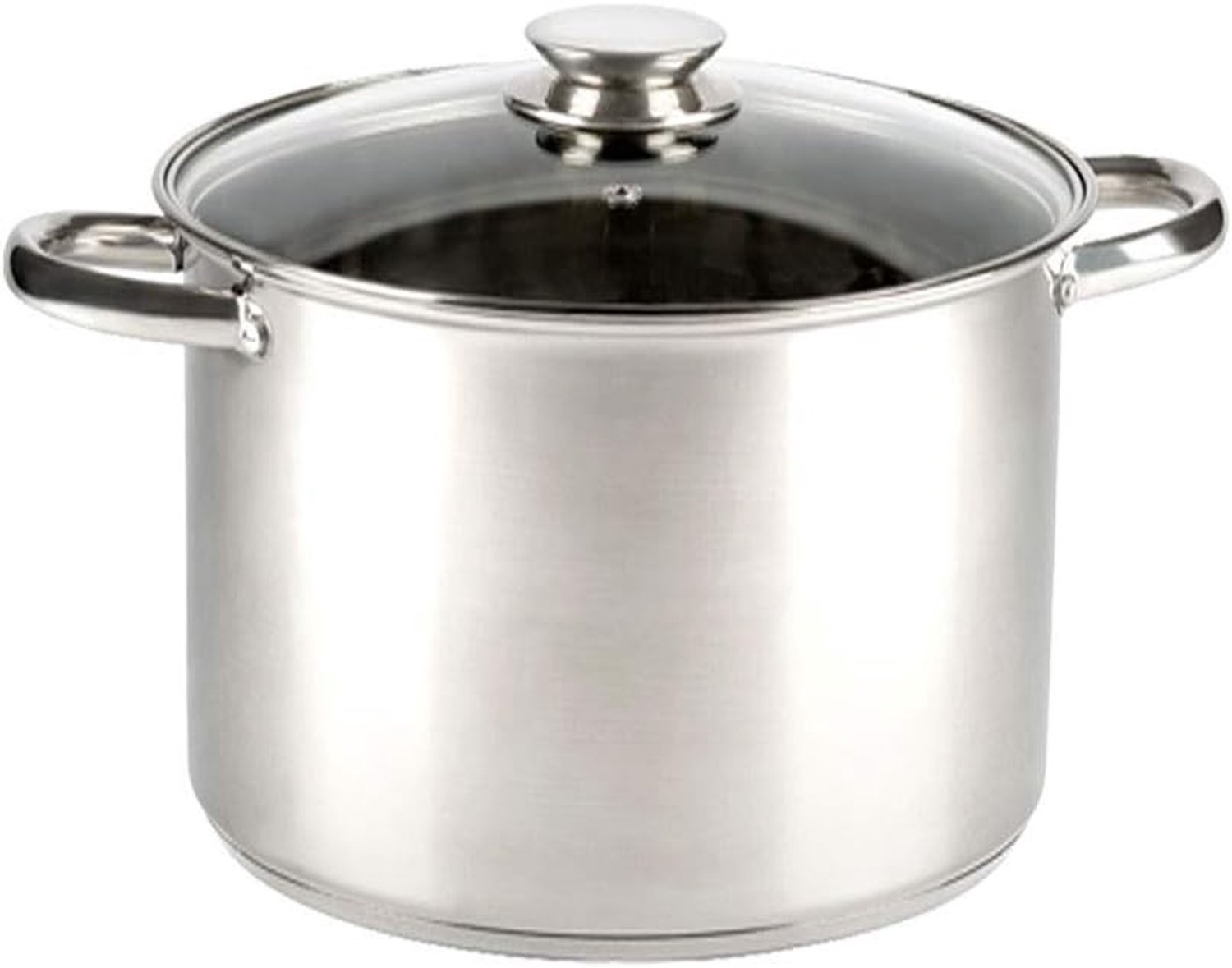 Pot - Zilver - 22 cm - Roestvrijstaal met Inductiebasis - Voor Alle Soorten Keukens