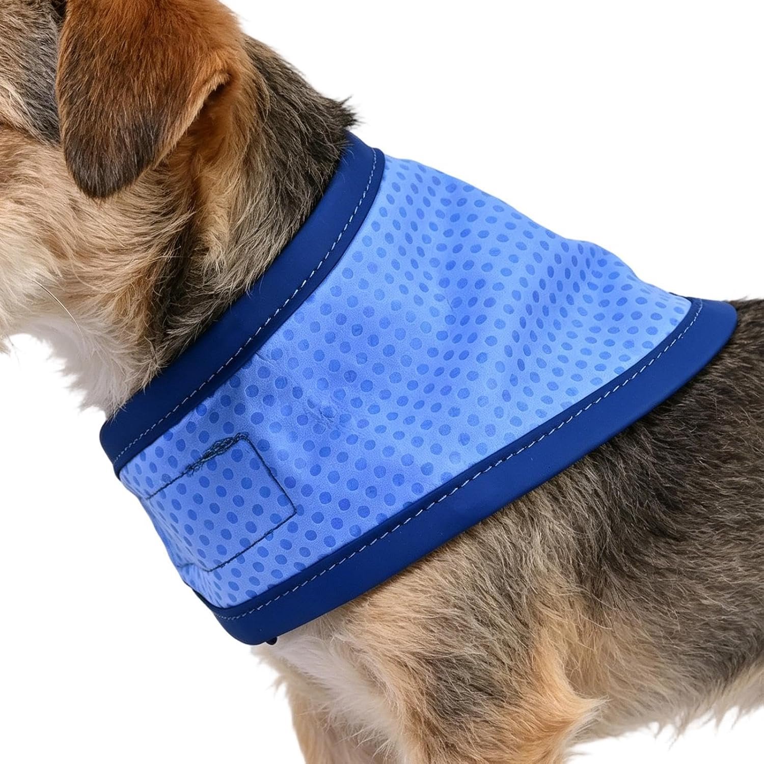 Koelhalsband voor honden Herbruikbare Puppy Bandana