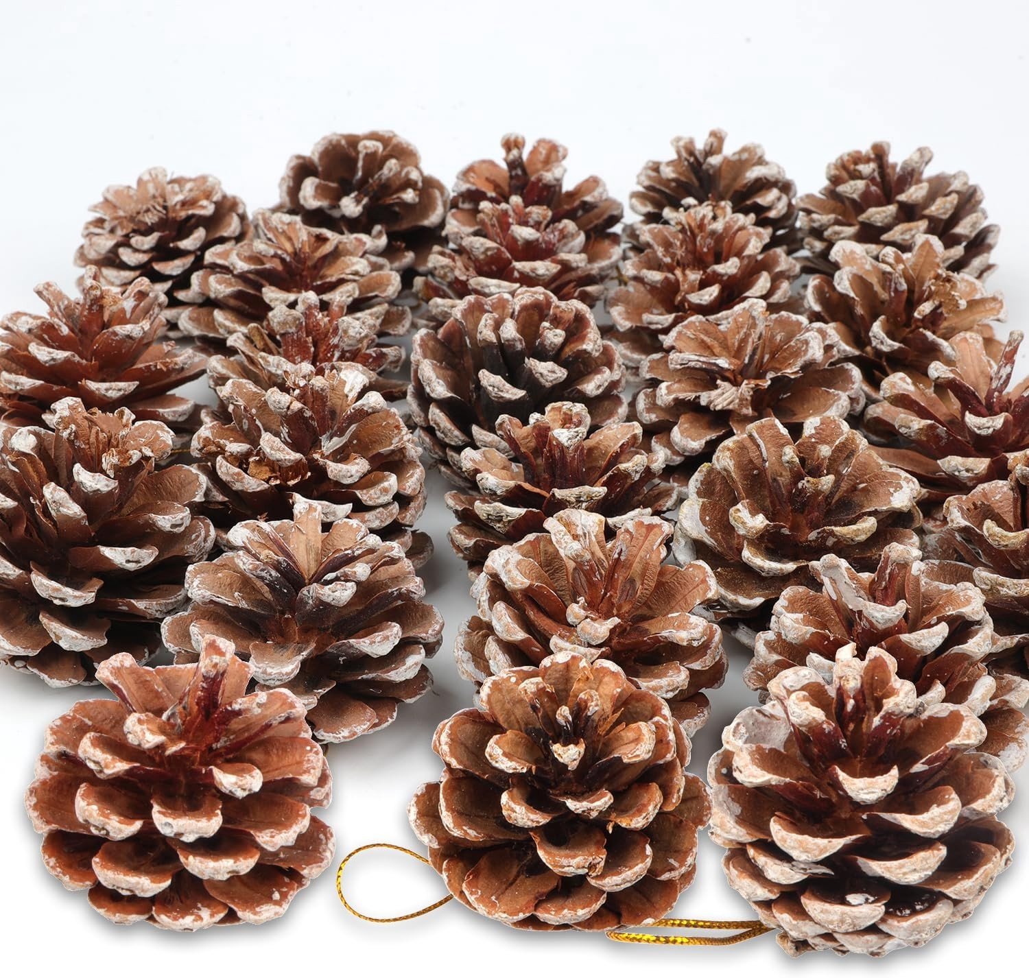 Kerst Dennenappels Set - Natuurkleur - 5 cm - Met Sneeuwbedekking - Voor Kerstdecoratie