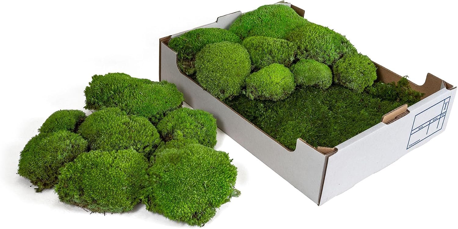 Moss voor decoratie 40 x 30 cm - gemengde moslaag - natuurlijk en duurzaam - ideaal voor kerstdecoratie - Luxento