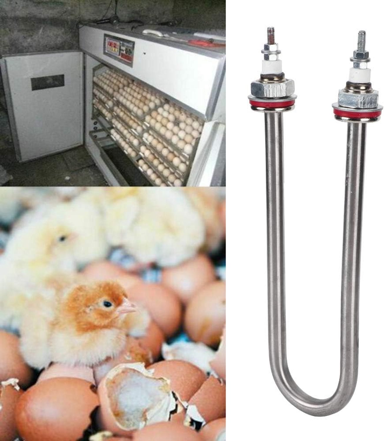 Bevochtigingsbuis voor Broedmachine Betrouwbaar Accessoire voor Het Voeren van Pluimvee Duurzaam Metaal met Stabiele Prestaties (300W)