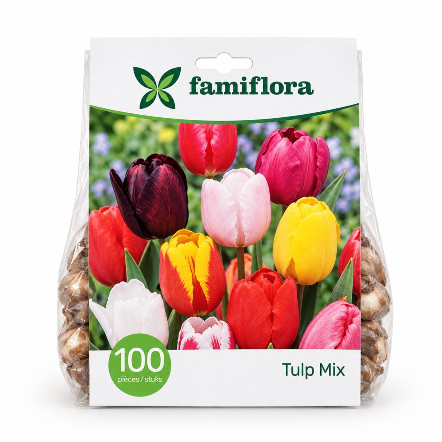 Famiflora Tulpen Mix - Voorjaarsbloeiers kleurrijk - 100 bloembollen - Tulipa