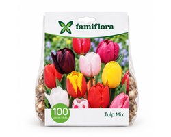Famiflora Tulpen Mix - Voorjaarsbloeiers kleurrijk - 100 bloembollen - Tulipa