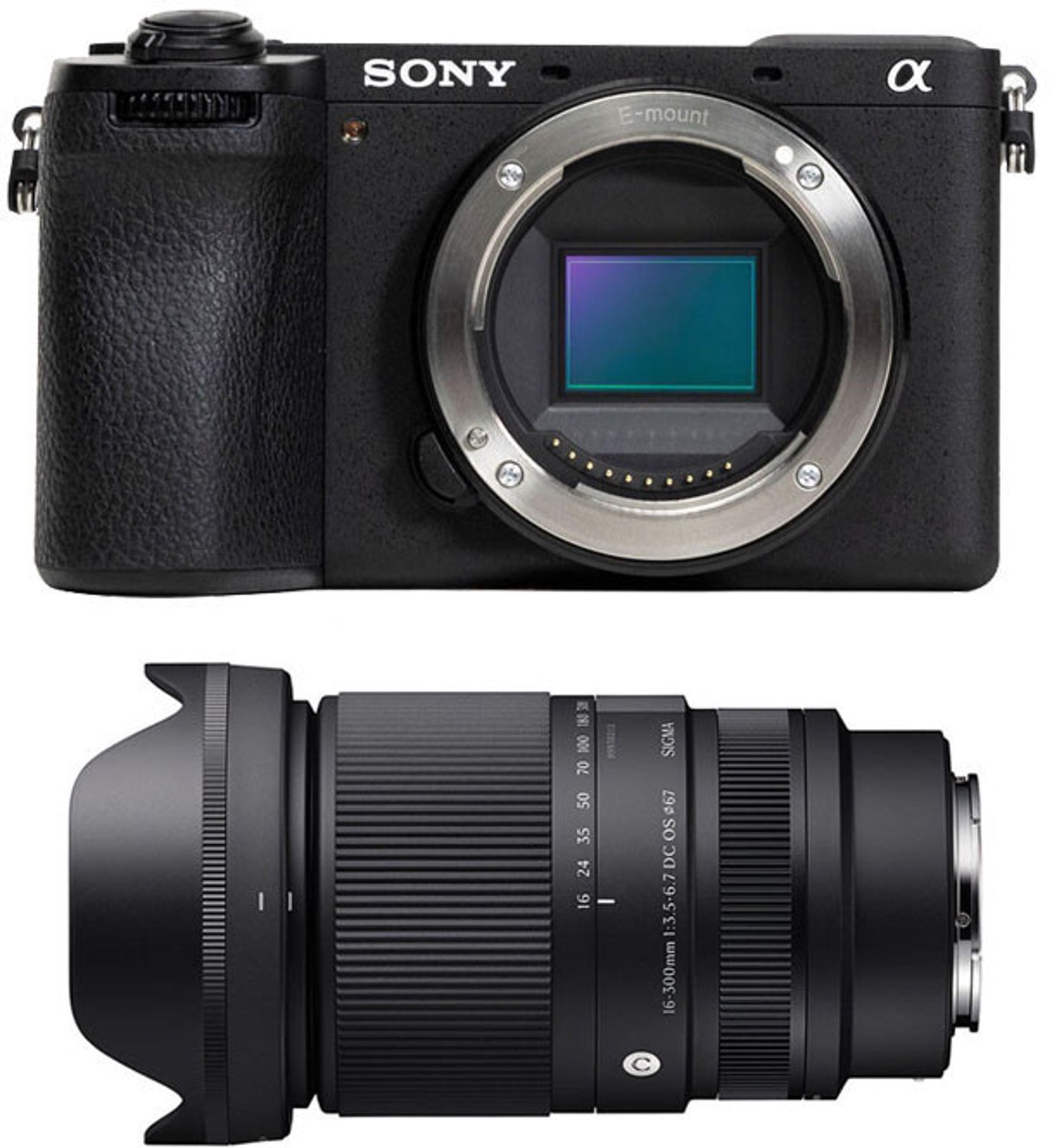 SONY ALPHA 6700 + SIGMA 16-300mm f/3.5-6.7 DC OS Contemporary