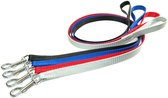 Dino Hondenlijn 13mm/120cm - Mix Kleuren voor Kleine Honden