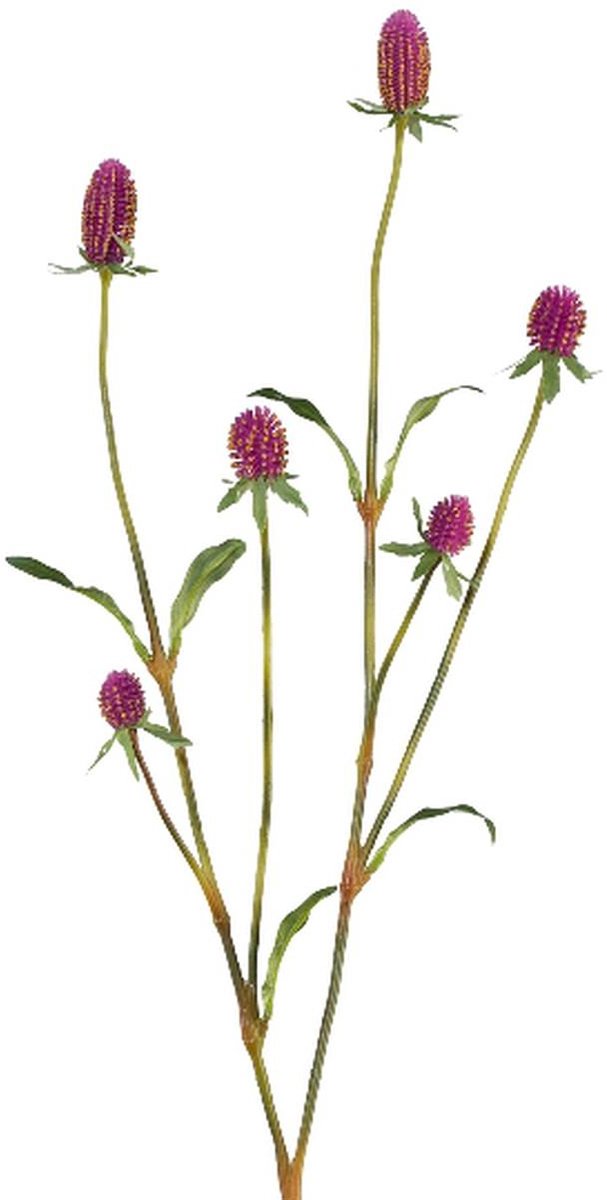 Gasper Kogelamarant Gomphrena Lila 75 cm - kunstbloemen