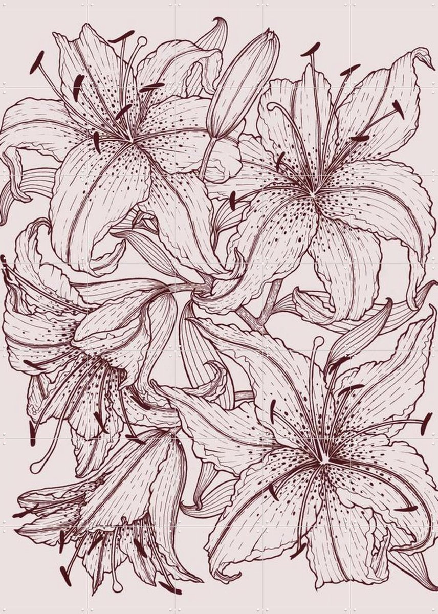 IXXI Lilies Pink, Geertje Aalders - 100 x 140 cm - Gratis ophangtool - Grote wanddecoratie en posters - Illustraties, Bloemen, Botanisch