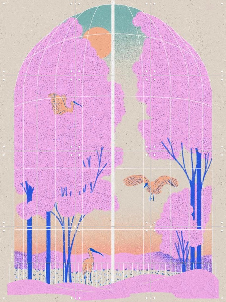 IXXI Aviary, Ada Jarzebowska & Various - 60 x 80 cm - Gratis ophangtool - Grote wanddecoratie en posters